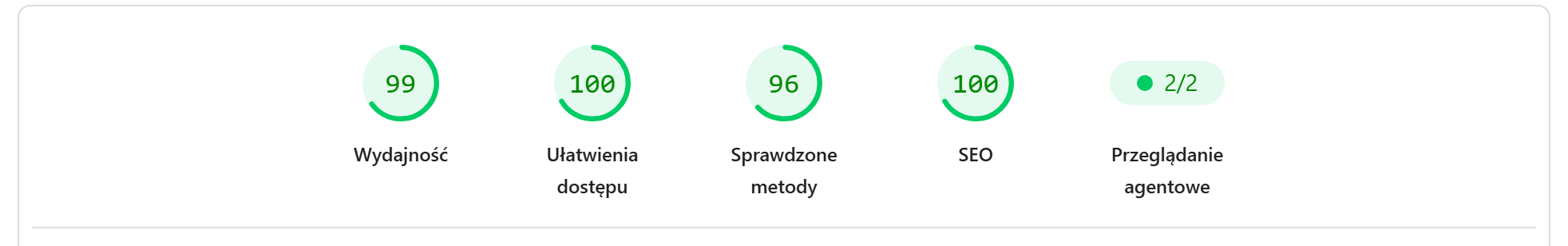 PageSpeed Insights — wyniki